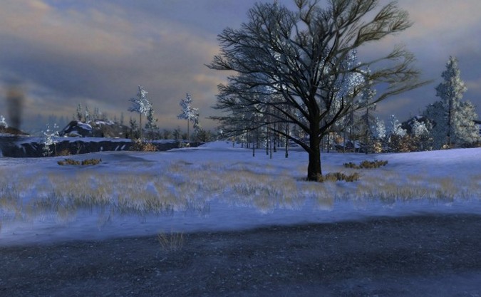 Arctic Region